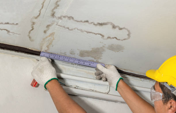 Affordable Water Damage Repair solutions in Mount Vernon, OH